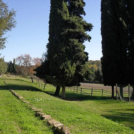 Antonella Villa